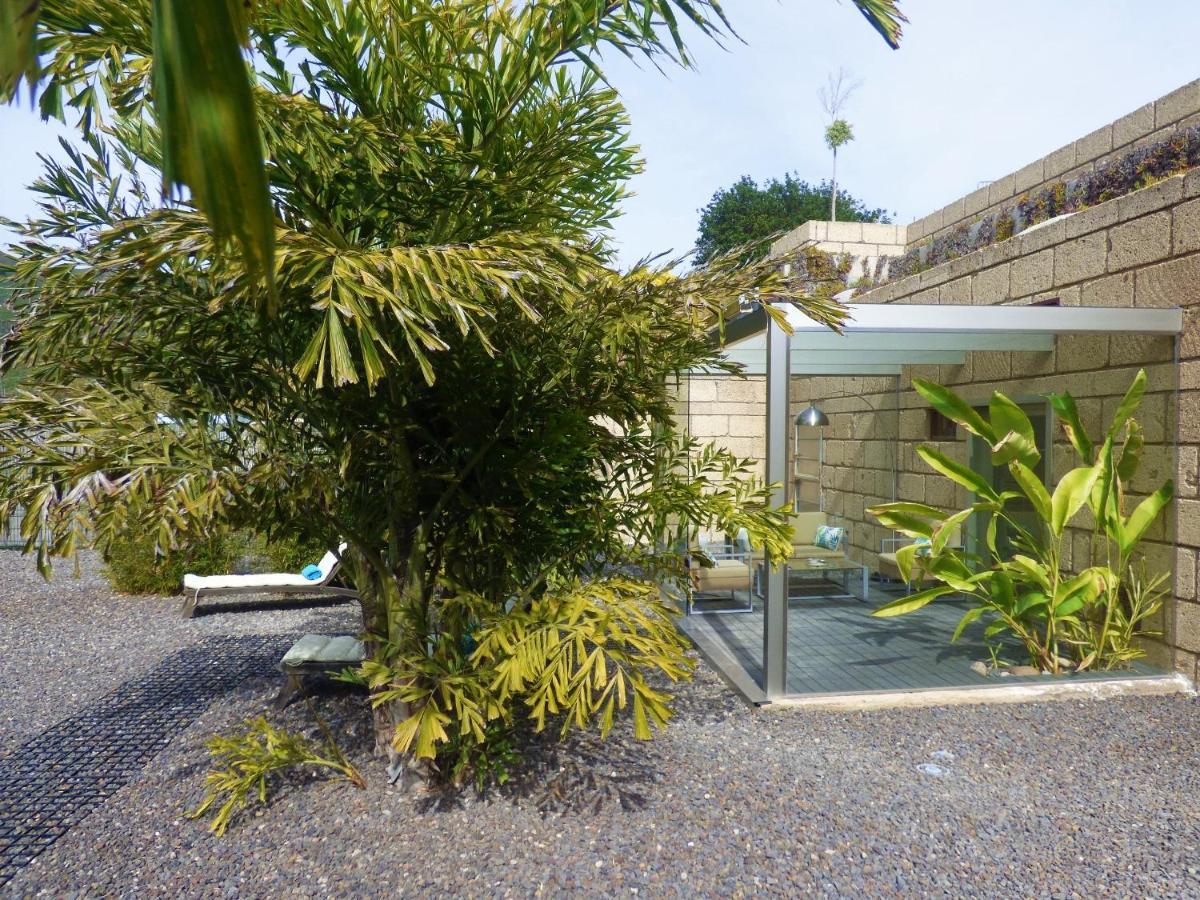 Eco Suites Caves ลาลากูนา ภายนอก รูปภาพ